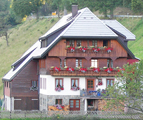 bergbauernhof schwarzwald