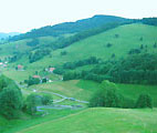 bergbauernhof schwarzwald